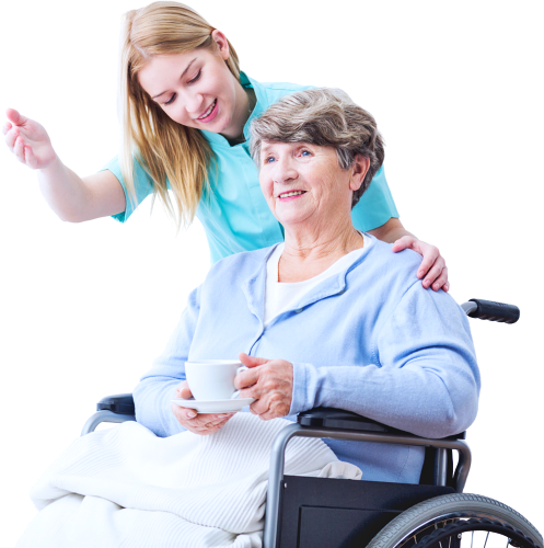 senior woman on wheelchair with her caregiver